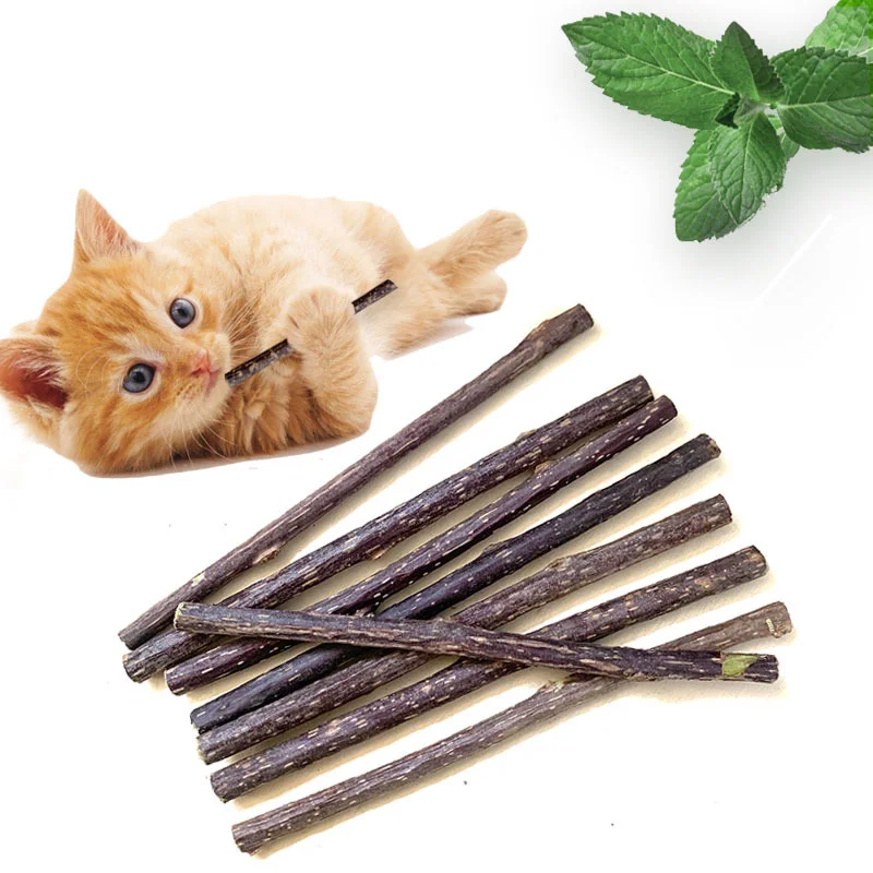 15/20pcs Natural Catnip Pet Cat Molar Toothpaste Stick Actinidia Fruit Silvervine Cat Snacks Sticks Pet Cleaning Teeth
15/20pcs Natural Catnip Pet Cat Molar Toothpaste Stick Actinidia Fruit Silvervine Cat Snacks Sticks Pet Cleaning Teeth