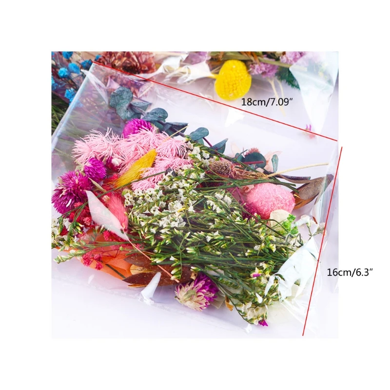 1Bag Mix Dried Flower Random Dry Flower Craft Decoration Natural Flower for Epoxy Resin Jewelry Making Resin DIY
1Bag Mix Dried Flower Random Dry Flower Craft Decoration Natural Flower for Epoxy Resin Jewelry Making Resin DIY