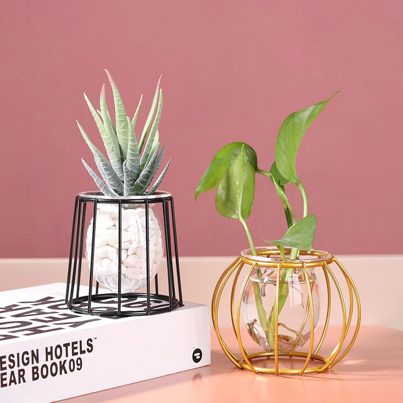 Hydroponic Plant Flower Terrarium Vase Home Porch Balcony Decor Plant Holder Nordic Art Elegance Iron Vases Aesthetic Room Decor
Hydroponic Plant Flower Terrarium Vase Home Porch Balcony Decor Plant Holder Nordic Art Elegance Iron Vases Aesthetic Room Decor