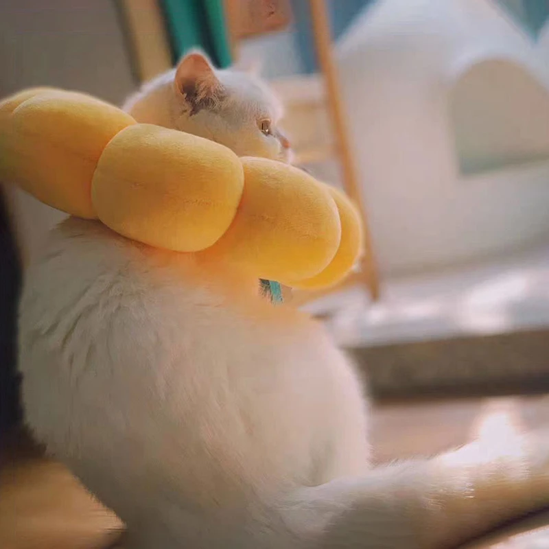 Sunflower Cat Collar Anti-Bite Lick Surgery Wound Healing Cat Dogs Health Circle Pet Protective Collar Neck Cone Recovery Collar
Sunflower Cat Collar Anti-Bite Lick Surgery Wound Healing Cat Dogs Health Circle Pet Protective Collar Neck Cone Recovery Collar