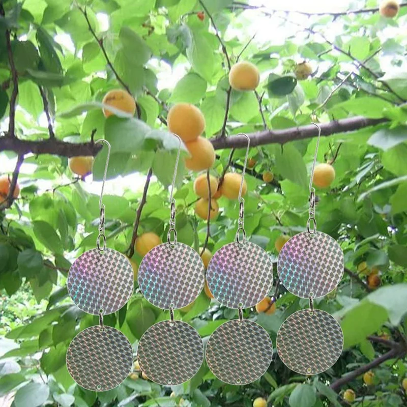 8 Pcs Bird Repellent Deterrent Discs Pigeon Crow Pest Repeller Glitter Reflective Discs Deterrent Repellent Disks Birds
8 Pcs Bird Repellent Deterrent Discs Pigeon Crow Pest Repeller Glitter Reflective Discs Deterrent Repellent Disks Birds