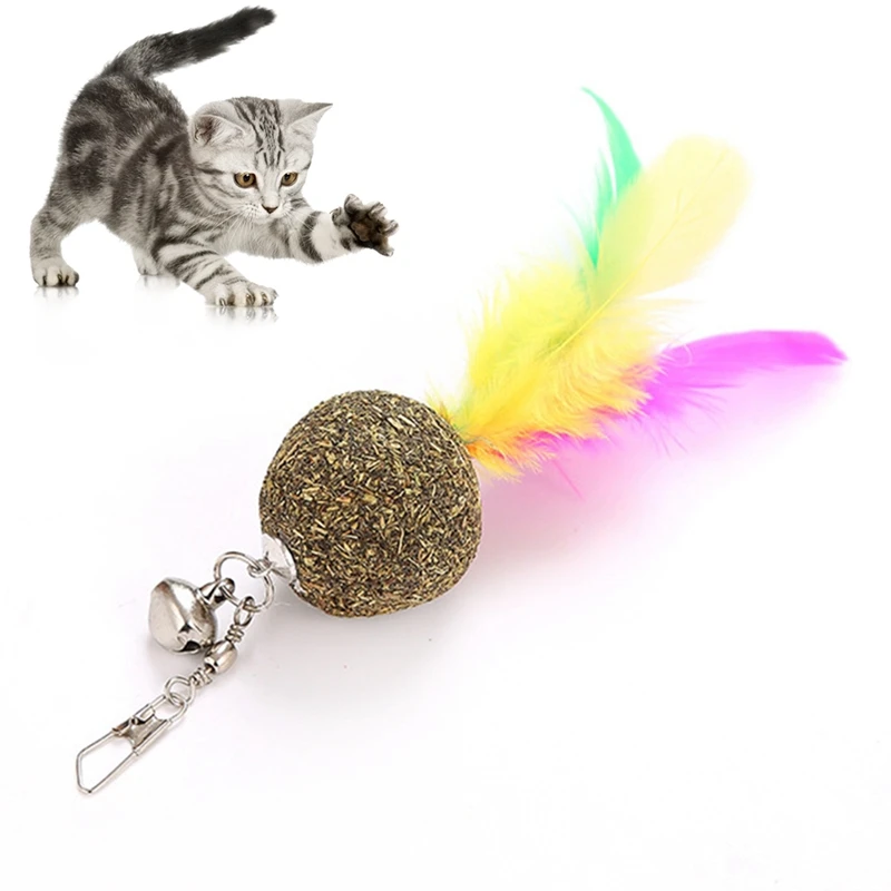 1pc Hot Selling Cat Wand Toy Attachment Fake Feather Pet Teaser Refill Cat Stick Toy Replacement Cat Supplies Multicolor
1pc Hot Selling Cat Wand Toy Attachment Fake Feather Pet Teaser Refill Cat Stick Toy Replacement Cat Supplies Multicolor