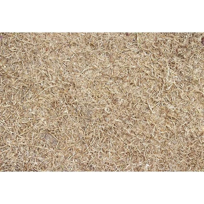 Autumn Farm Warehouse Haystack Pumpkin Backdrop Wood Floor Baby Shower Photography Background Photocall for Photo Studio
Autumn Farm Warehouse Haystack Pumpkin Backdrop Wood Floor Baby Shower Photography Background Photocall for Photo Studio