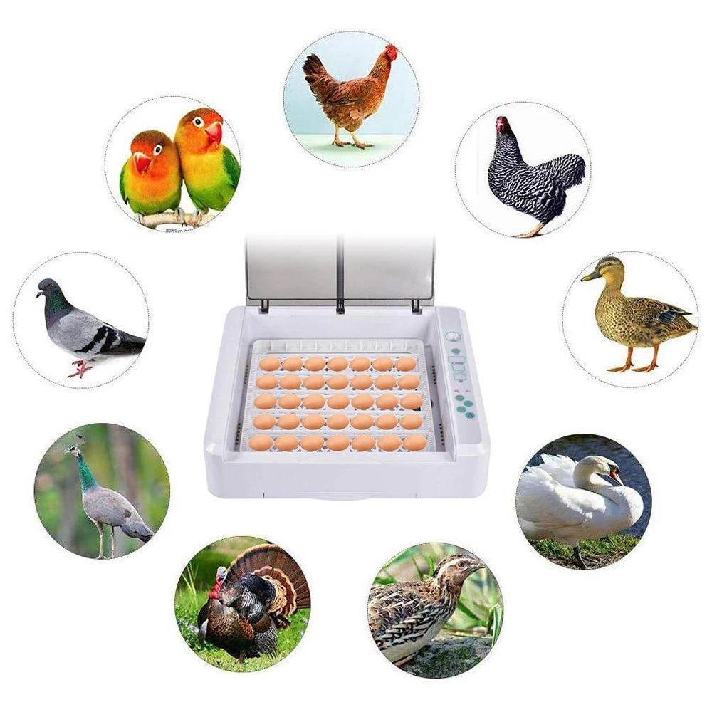 36 Egg Incubator Fully Automatic Time Control Convenient Brooding Machine LED Digital Poultry Hatcher Temperature Control
36 Egg Incubator Fully Automatic Time Control Convenient Brooding Machine LED Digital Poultry Hatcher Temperature Control