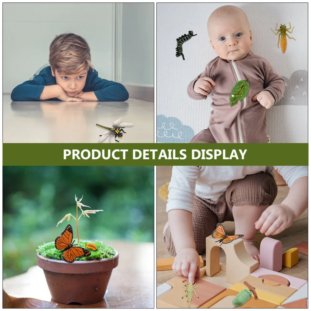 2 Sets Insects Models Dragonfly and Butterflies Growth Cycle Figurines for Kids
2 Sets Insects Models Dragonfly and Butterflies Growth Cycle Figurines for Kids