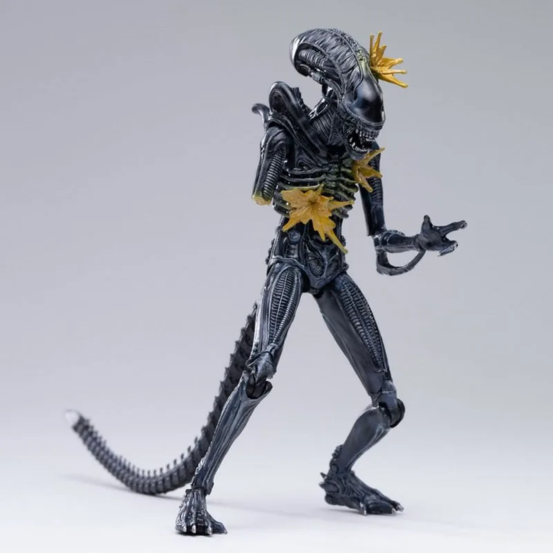 Hiya LA0070 1/18 War-damaged Alien Warrior Model 11cm Soldier Action Figure for Fans Collection
Hiya LA0070 1/18 War-damaged Alien Warrior Model 11cm Soldier Action Figure for Fans Collection