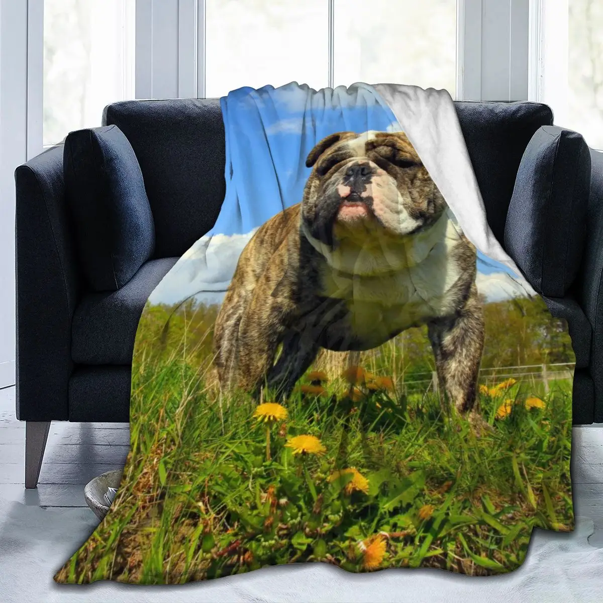 Manta de franela с 3D рисунком бульдога, одежда для cama, suave, cubierta de cama, украшение textil для el доме
Manta de franela с 3D рисунком бульдога, одежда для cama, suave, cubierta de cama, украшение textil для el доме