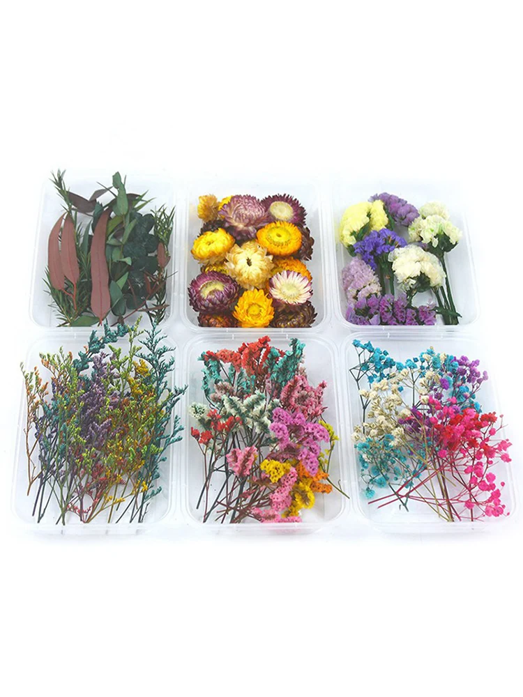 1 Box Random Dry Flower Material Package Aromatherapy Genuine Plant Handmade Flower Material Manufacturing Process Accessories
1 Box Random Dry Flower Material Package Aromatherapy Genuine Plant Handmade Flower Material Manufacturing Process Accessories