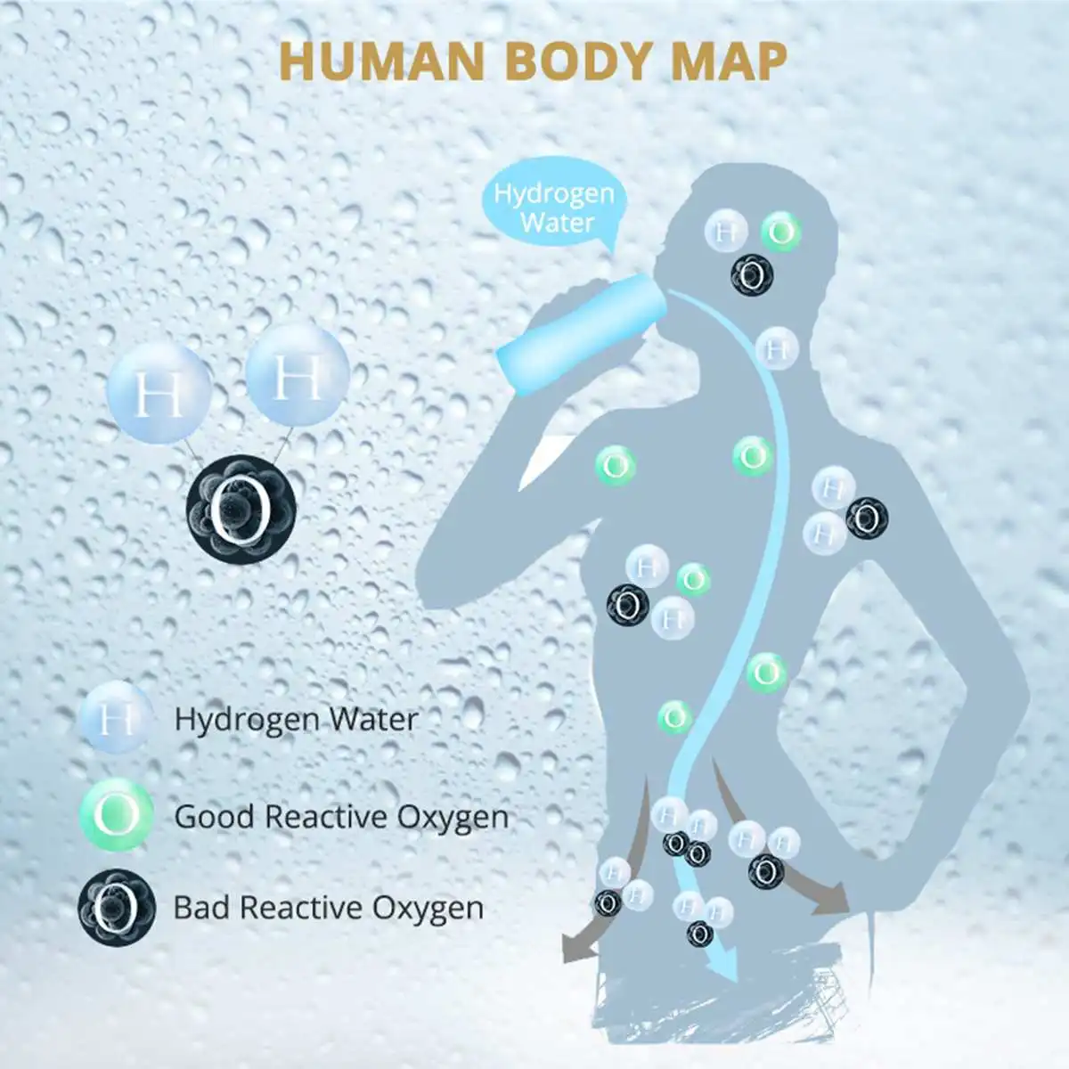 Hydrogen Generator Cup Water Filter 420ml Alkaline Maker Hydrogen-Rich Water Portable Bottle Lonizer Pure H2 Electrolysis
Hydrogen Generator Cup Water Filter 420ml Alkaline Maker Hydrogen-Rich Water Portable Bottle Lonizer Pure H2 Electrolysis