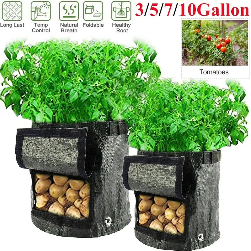 Plant Grow Bags Home Garden Potato Pot Greenhouse Vegetable Growing Bags Moisturizing Jardin Vertical Garden Bag Seedling
Plant Grow Bags Home Garden Potato Pot Greenhouse Vegetable Growing Bags Moisturizing Jardin Vertical Garden Bag Seedling