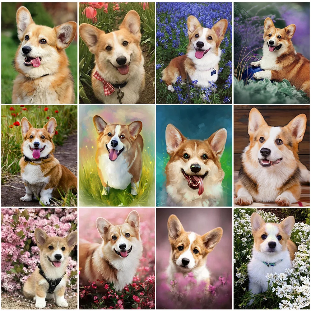 EverShine Diamond Mosaic Dog Picture Of Rhinestones Diamond Painting Corgi Cross Stitch Embroidery Animal New Arrival Home Decor
EverShine Diamond Mosaic Dog Picture Of Rhinestones Diamond Painting Corgi Cross Stitch Embroidery Animal New Arrival Home Decor