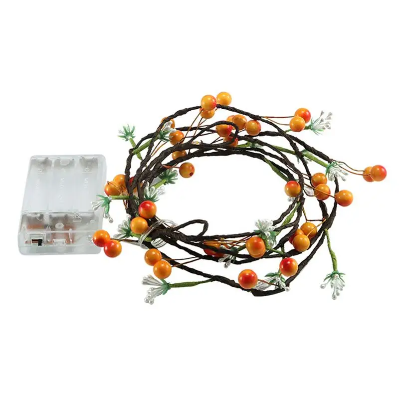 2M Fruits String Lights IP54 Grade Christmas Holiday String Lights Valentine's Day Wedding Party Garland Decor Luminaria
2M Fruits String Lights IP54 Grade Christmas Holiday String Lights Valentine's Day Wedding Party Garland Decor Luminaria