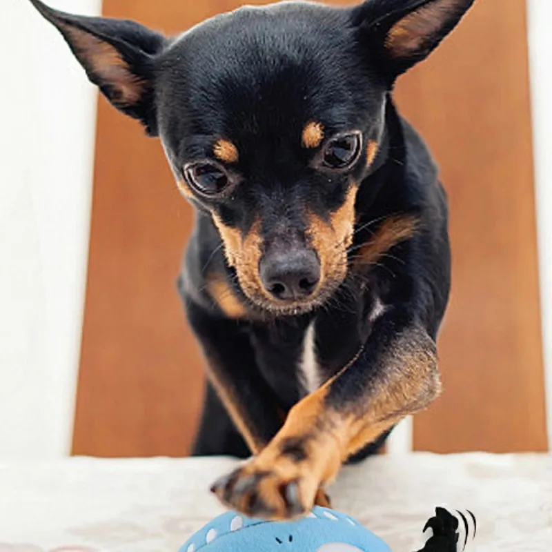 Dog Vocal Vibration Electric Toy Ball Soft Plush Dog Bouncing Toy Pet Interactive Toyhot
Dog Vocal Vibration Electric Toy Ball Soft Plush Dog Bouncing Toy Pet Interactive Toyhot