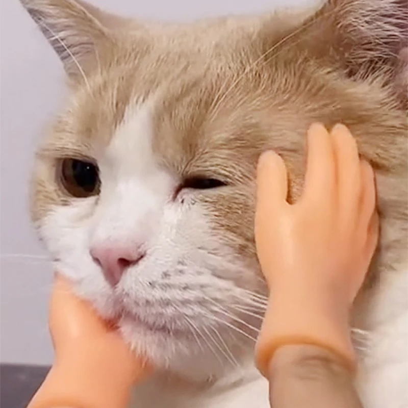 Пальчиковая кукла мини пальцев рук руки с левой и правой руки для игры вечерние для домашних животных
Пальчиковая кукла мини пальцев рук руки с левой и правой руки для игры вечерние для домашних животных