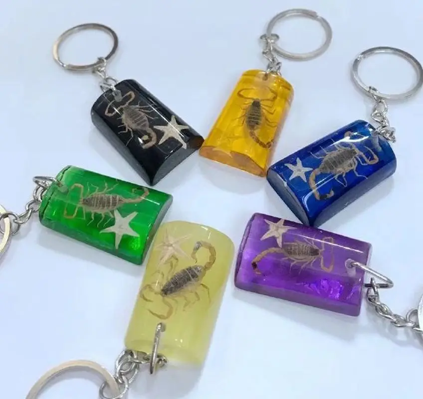 12 pcs New Scorpion Starfish Style Keychain Fashion Versatile Jewelry Cute Keychain Accessories
12 pcs New Scorpion Starfish Style Keychain Fashion Versatile Jewelry Cute Keychain Accessories