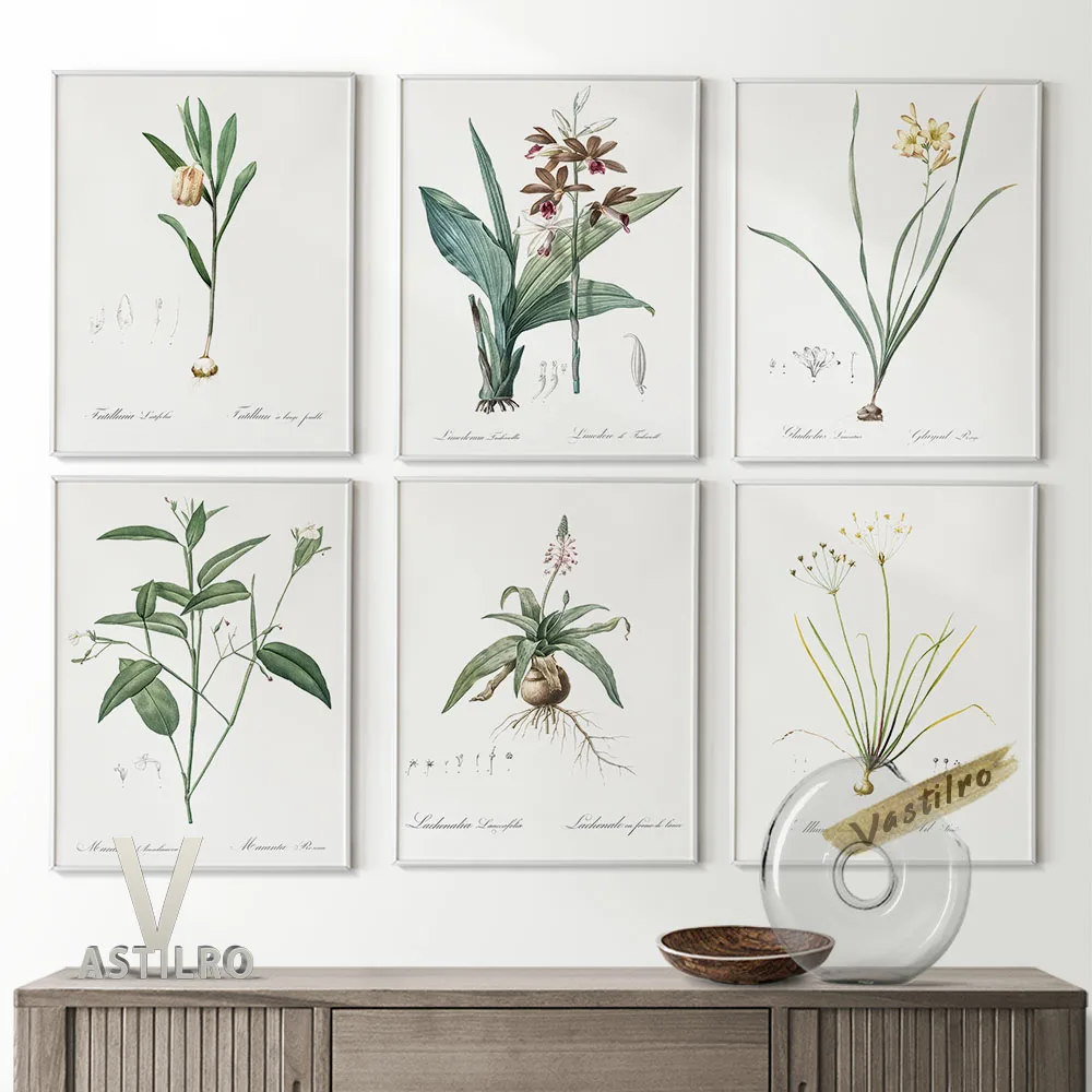Botanical Garden Printable Retro Poster Leaf Flower Illustration Wall Art Prints Canvas Painting Home Room High Quality Decor
Botanical Garden Printable Retro Poster Leaf Flower Illustration Wall Art Prints Canvas Painting Home Room High Quality Decor