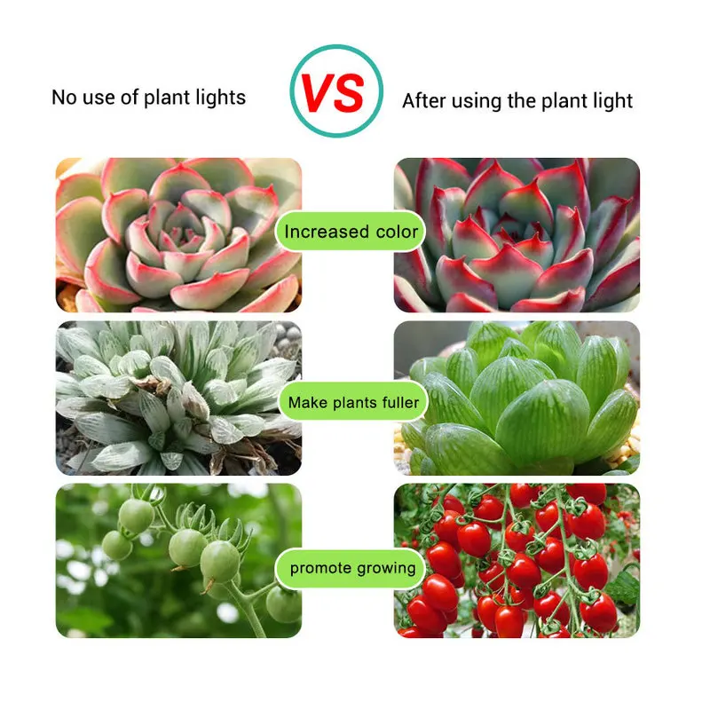 LED Grow Light Phytolamp Leds Phyto Growth Lamp 265V Full Spectrum Plant Lighting for Indoor Plant Phytolamp for Plants
LED Grow Light Phytolamp Leds Phyto Growth Lamp 265V Full Spectrum Plant Lighting for Indoor Plant Phytolamp for Plants