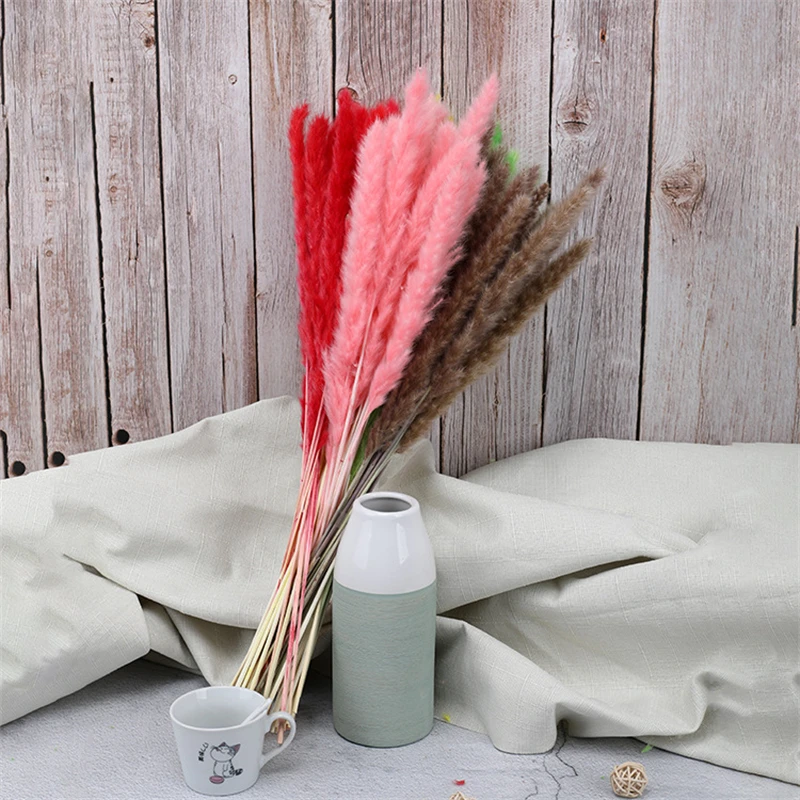 Dekoration Real Plants Dried Natural Grass Reed Flower Dry Small Bulrush Bouquet Pampas Reeds Home Decoration Wedding Decor
Dekoration Real Plants Dried Natural Grass Reed Flower Dry Small Bulrush Bouquet Pampas Reeds Home Decoration Wedding Decor
