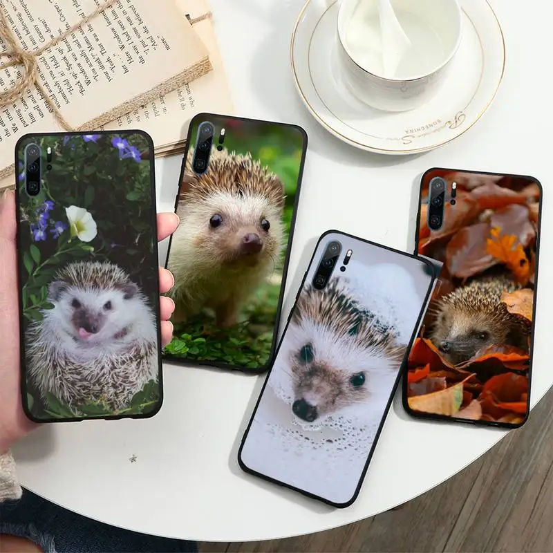 Hedgehog cute animal Phone Case For Huawei honor Mate P 10 20 30 40 i 9 8 pro x Lite smart 2019 nova 5t
Hedgehog cute animal Phone Case For Huawei honor Mate P 10 20 30 40 i 9 8 pro x Lite smart 2019 nova 5t