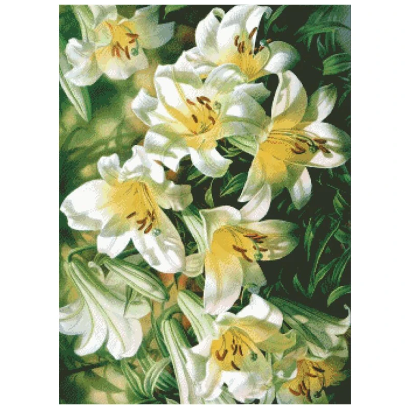 White lily flowers cross stitch kits big bloom 18ct 14ct 11ct cloth cotton thread embroidery needlework wall decor
White lily flowers cross stitch kits big bloom 18ct 14ct 11ct cloth cotton thread embroidery needlework wall decor