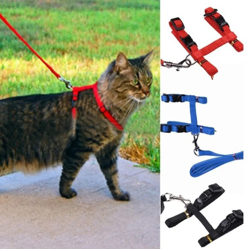 Adjustable pet Cat Leashes Rope for Puppies Walking Chest Strap Cat Leash Belt pets supplies
Adjustable pet Cat Leashes Rope for Puppies Walking Chest Strap Cat Leash Belt pets supplies