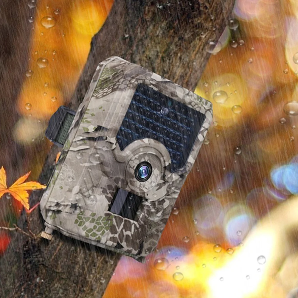 PR100 1080P Camera IR LEDs Infrared Night Vision Scouting Camera Outdoor Camcorder for Wildlife Monit 
PR100 1080P Camera IR LEDs Infrared Night Vision Scouting Camera Outdoor Camcorder for Wildlife Monit