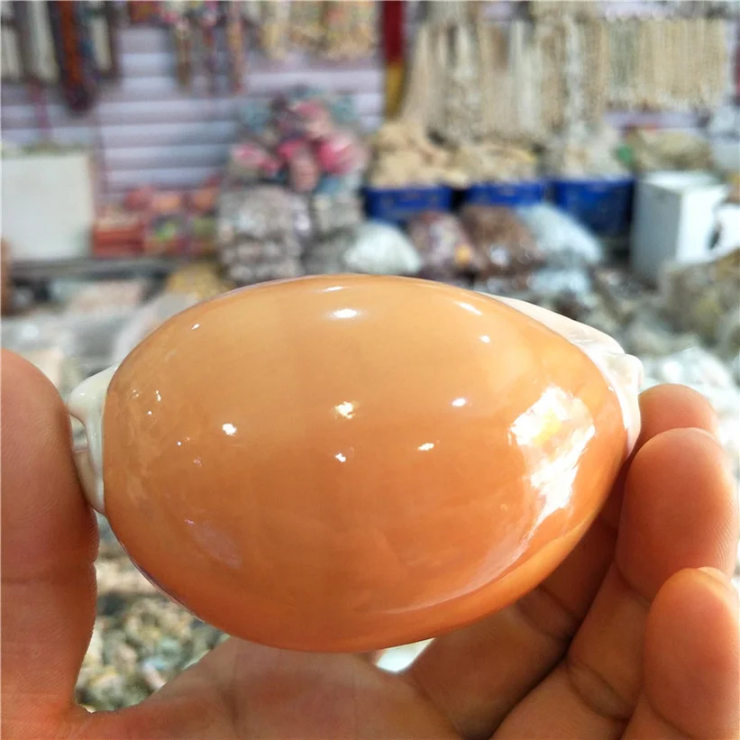 Authentic Natural Conch Shells Large Flat Spines Screw 9 Cm Aquarium Aquarium Decoration Photography Props Golden Cowries
Authentic Natural Conch Shells Large Flat Spines Screw 9 Cm Aquarium Aquarium Decoration Photography Props Golden Cowries