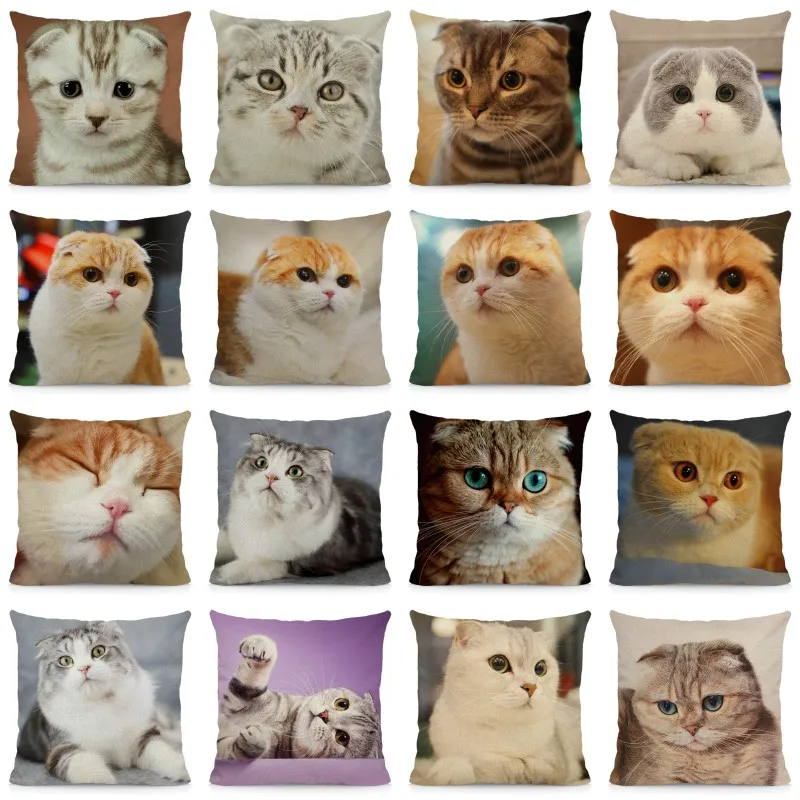XUNYU Scottish Fold Cat Pattern Cushion Cover 45x45cm Animal Print Home Decorative Pillow Case DWM023
XUNYU Scottish Fold Cat Pattern Cushion Cover 45x45cm Animal Print Home Decorative Pillow Case DWM023