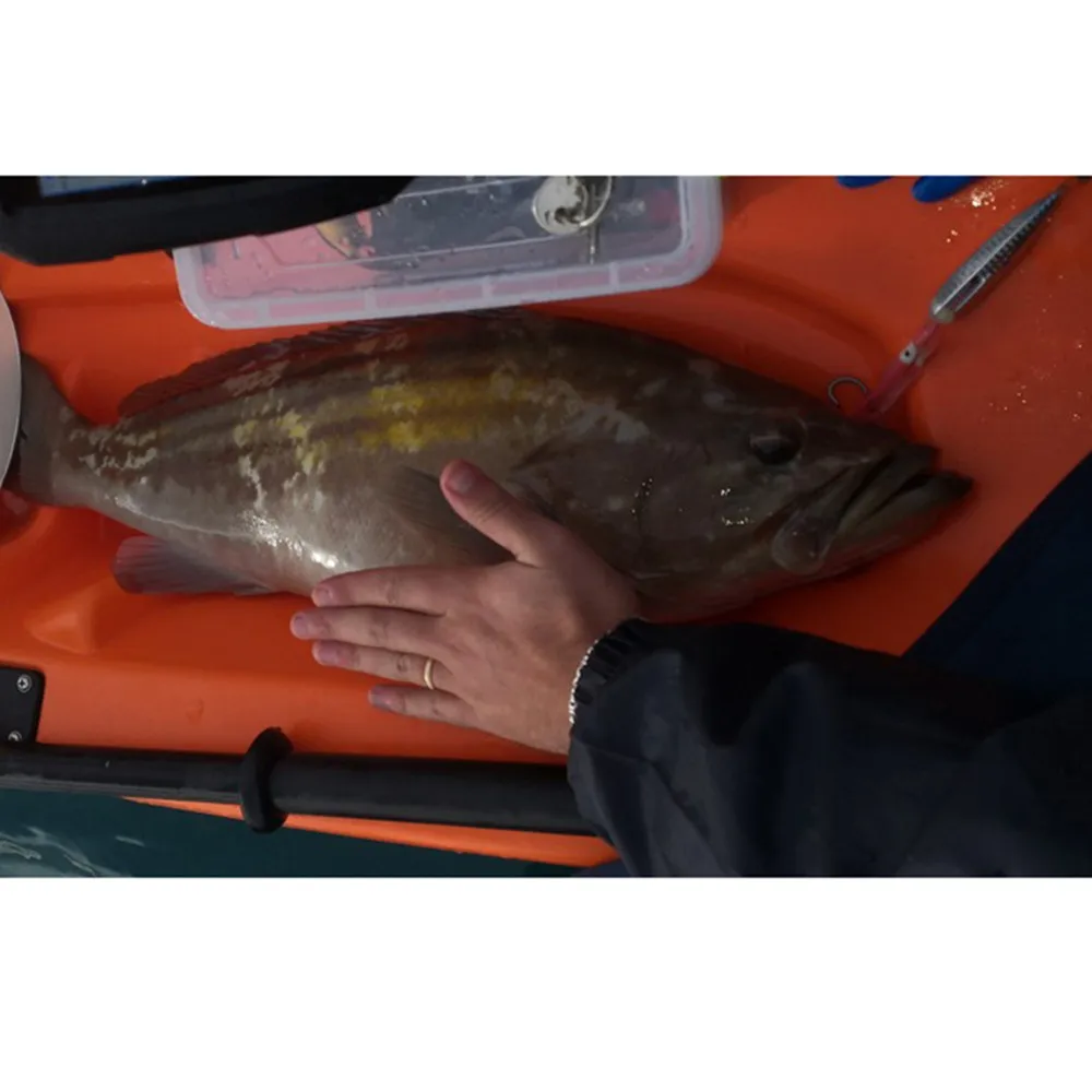 CASTFUN Inchiku Jig Slow Jig Bottom Ship Metal Accessories Leurre Souple Octopus Skirt Squid Assist Hook 40g 60g 80g 100g 5pcs
CASTFUN Inchiku Jig Slow Jig Bottom Ship Metal Accessories Leurre Souple Octopus Skirt Squid Assist Hook 40g 60g 80g 100g 5pcs