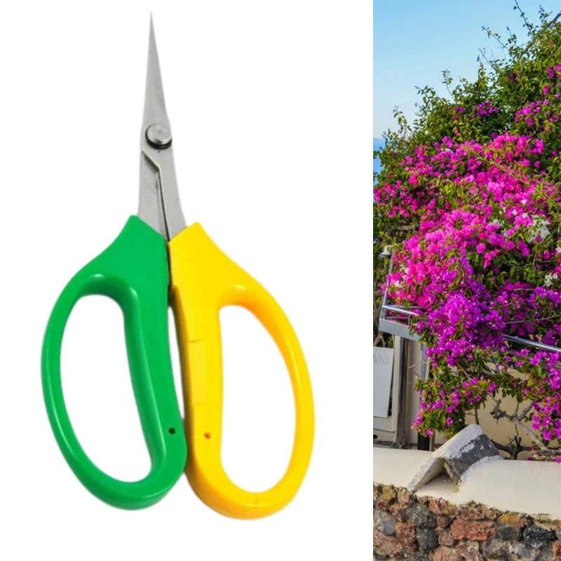 Stainless Steel Pruning and Cutting Multifunctional Horticultural Scissors Orchard Flower Branch Picking Tree Pruning
Stainless Steel Pruning and Cutting Multifunctional Horticultural Scissors Orchard Flower Branch Picking Tree Pruning