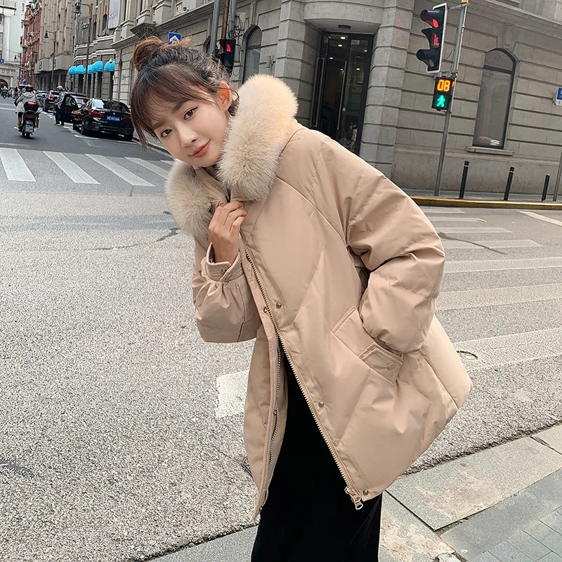 Make Winter Zhang Beibei Paragraphs With New Feather Cotton-padded Jacket Female Short Collars Cultivate One's Morality Show Thi
Make Winter Zhang Beibei Paragraphs With New Feather Cotton-padded Jacket Female Short Collars Cultivate One's Morality Show Thi