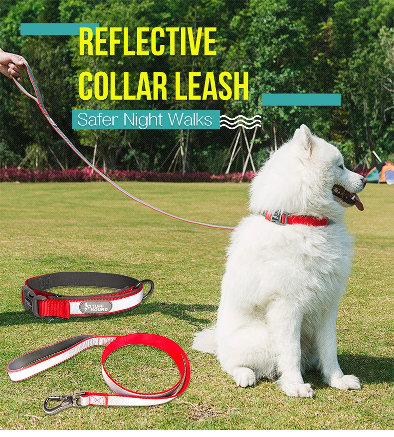 Tuff Hound Nylon Dog Leash for Large Dogs That Pull Buckle for Dogs Coupler Braided Around Waist for Running Collar Set
Tuff Hound Nylon Dog Leash for Large Dogs That Pull Buckle for Dogs Coupler Braided Around Waist for Running Collar Set