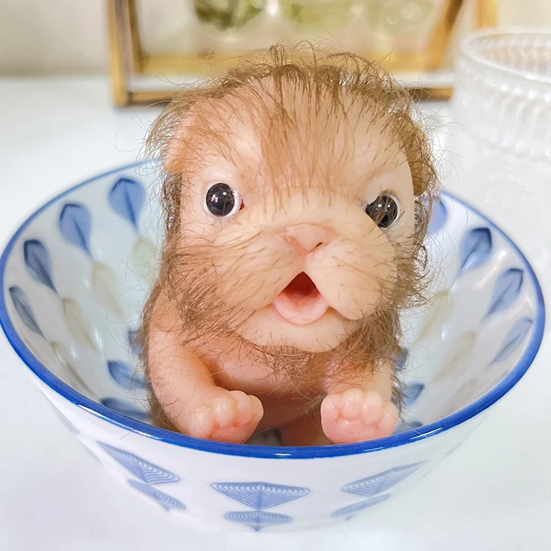 New 5 Inch Reborn Doll Doll Full Body Silicone Puppy Cute and Realistic Puppy Soft Reborn Puppy Birthday Christmas Gift Doll Toy
New 5 Inch Reborn Doll Doll Full Body Silicone Puppy Cute and Realistic Puppy Soft Reborn Puppy Birthday Christmas Gift Doll Toy