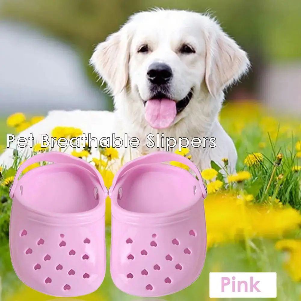 Pet Breathable Slippers Nonslip Footwear Non Slip Rubber Rain Dog Shoes Socks For Outdoor Candy Colors
Pet Breathable Slippers Nonslip Footwear Non Slip Rubber Rain Dog Shoes Socks For Outdoor Candy Colors