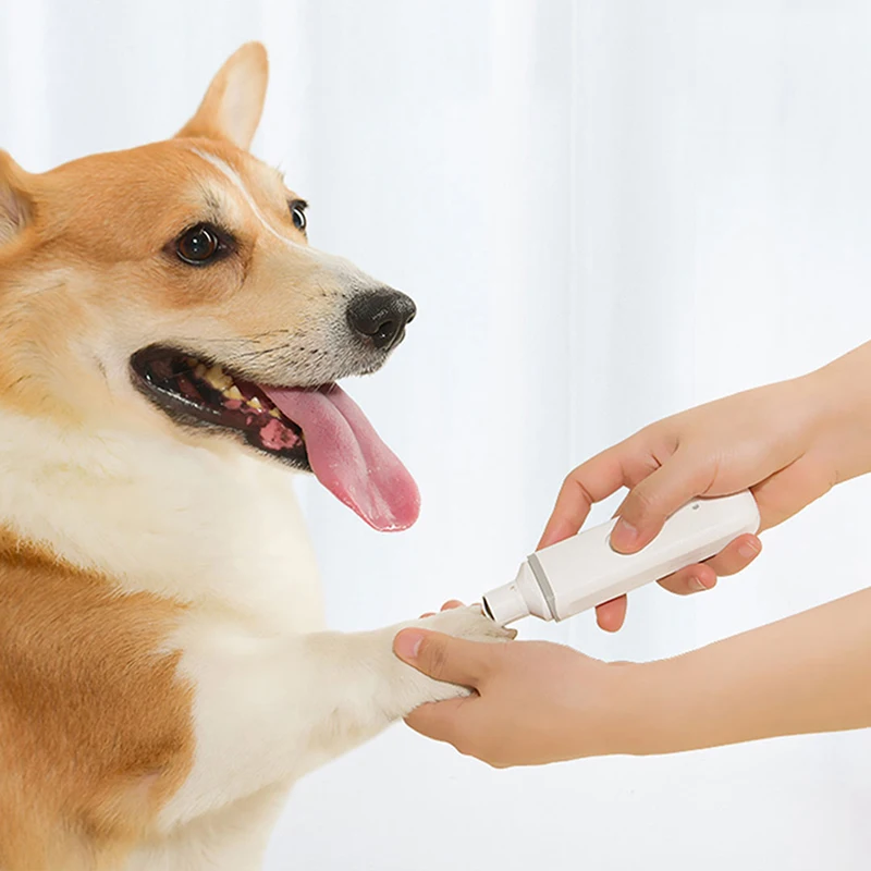 Xiaomi Youpin Pawbby Electric Pet Nail Cilppers USB Rechargeable Dog Cat Nail Polisher Dog Nail Scissors Pet Care Accessories
Xiaomi Youpin Pawbby Electric Pet Nail Cilppers USB Rechargeable Dog Cat Nail Polisher Dog Nail Scissors Pet Care Accessories