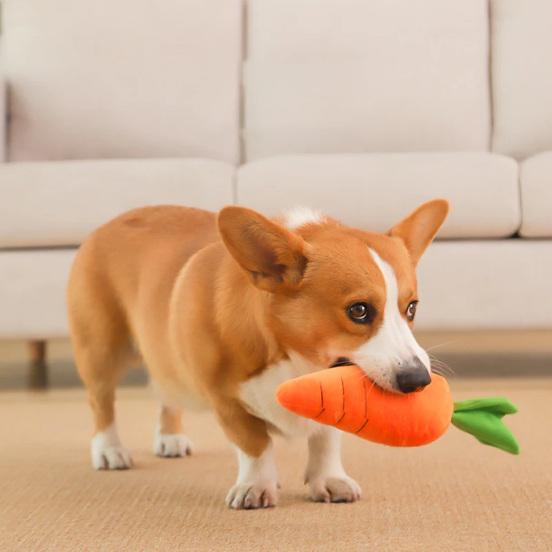 Dog Toys for Small Large Dogs Carrot Plush Vegetable Toy Pet Puppy Squeaky Chew Bite Resistant Toy Pets Accessories Supplies
Dog Toys for Small Large Dogs Carrot Plush Vegetable Toy Pet Puppy Squeaky Chew Bite Resistant Toy Pets Accessories Supplies