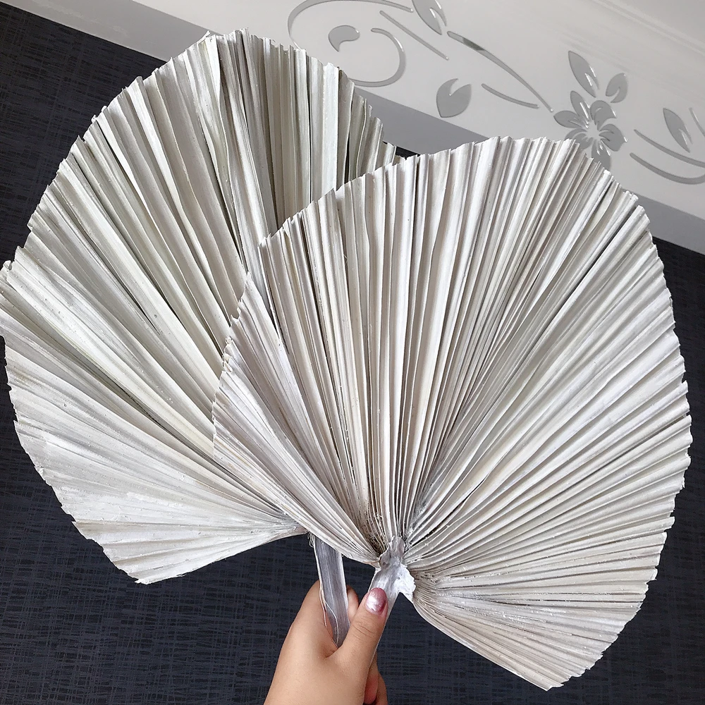 About 20*40CM/1PCS Dried Natural Plant Palm leaves,DIY Dry Flowers Palm Fan Leaf For Party Art Wall Hanging,Wedding Decoration
About 20*40CM/1PCS Dried Natural Plant Palm leaves,DIY Dry Flowers Palm Fan Leaf For Party Art Wall Hanging,Wedding Decoration