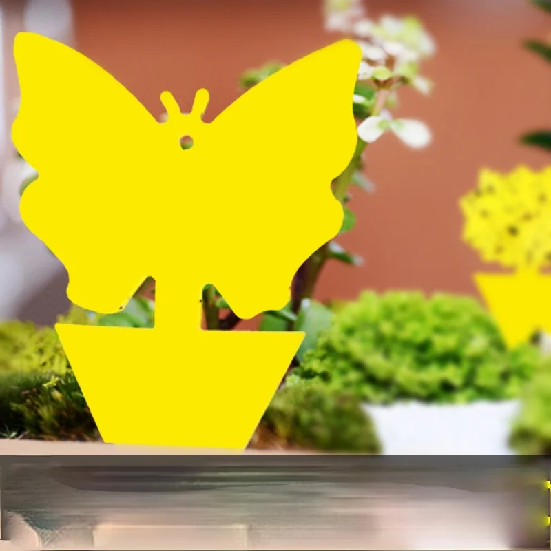 Sticky board yellow plate trap board double-sided yellow plate insect-plate insect trap special-shaped sticky board sticky catch
Sticky board yellow plate trap board double-sided yellow plate insect-plate insect trap special-shaped sticky board sticky catch