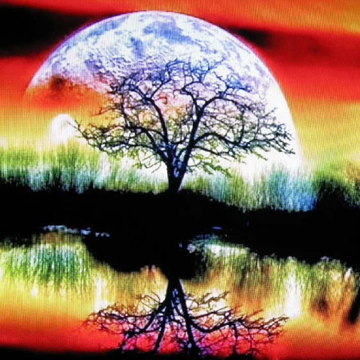 5D Diamond Painting DIY Magic Tree Craft Decoration Painting Full Diamonds Diamond Cross Stitch Living Room Diamond Embroidery
5D Diamond Painting DIY Magic Tree Craft Decoration Painting Full Diamonds Diamond Cross Stitch Living Room Diamond Embroidery