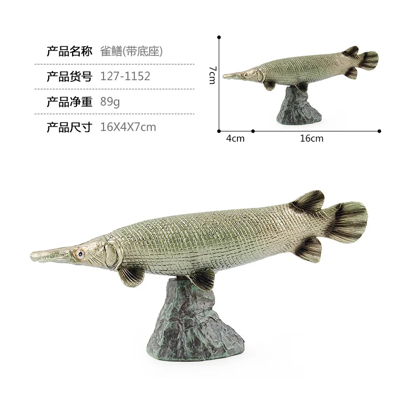 Simulation Ocean Animals Model Sea Marine Animal Figures Educative Toys for Children
Simulation Ocean Animals Model Sea Marine Animal Figures Educative Toys for Children