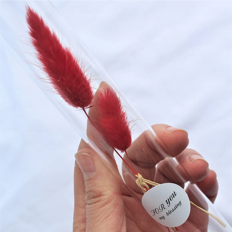 Glass Test Tube Dry Flower Cadeau Personnalis Natural Living Room Dormitory Mini Hand Gift Art Home Wishing Bottle Rabbit Tail
Glass Test Tube Dry Flower Cadeau Personnalis Natural Living Room Dormitory Mini Hand Gift Art Home Wishing Bottle Rabbit Tail