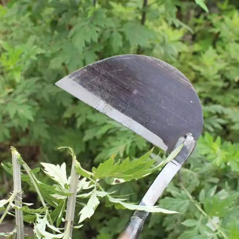 New old small sickle grass sickle cutting leek wheat multifunctional farm tools outdoor fishing lawn cutter
New old small sickle grass sickle cutting leek wheat multifunctional farm tools outdoor fishing lawn cutter