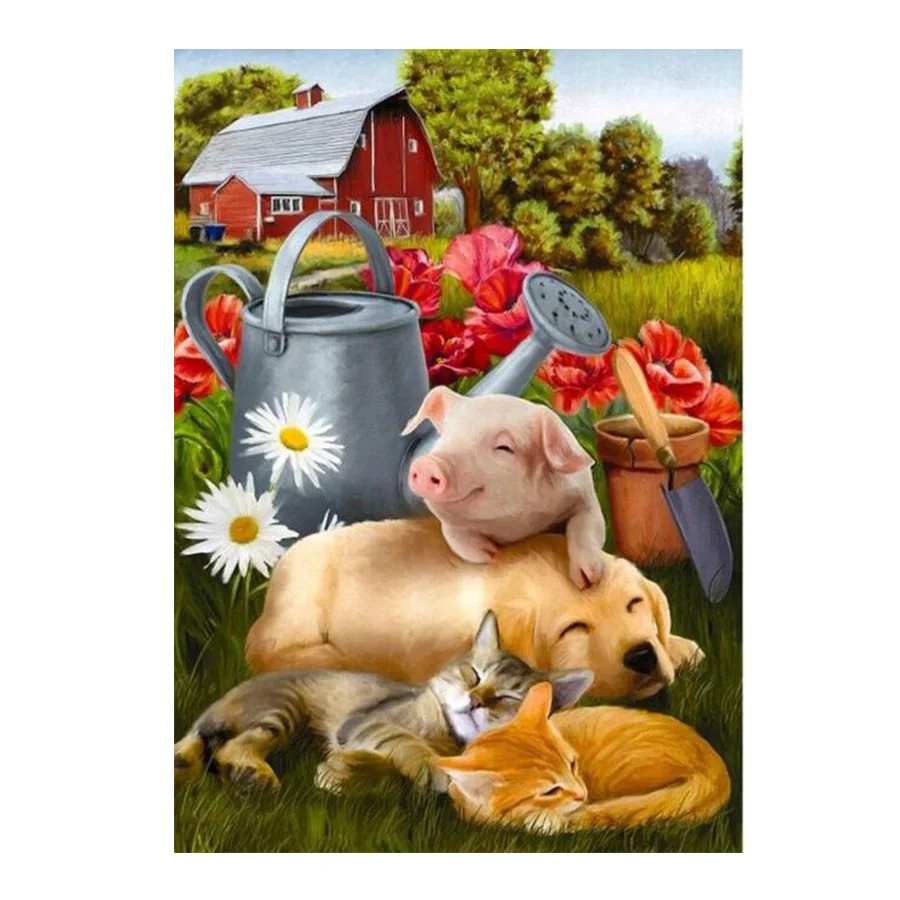 Алмазная живопись свинья собака Кот Цветок дом Набор для вышивки крестом полная вышивка мозаика картина Стразы подарок домашний декор
Алмазная живопись свинья собака Кот Цветок дом Набор для вышивки крестом полная вышивка мозаика картина Стразы подарок домашний декор