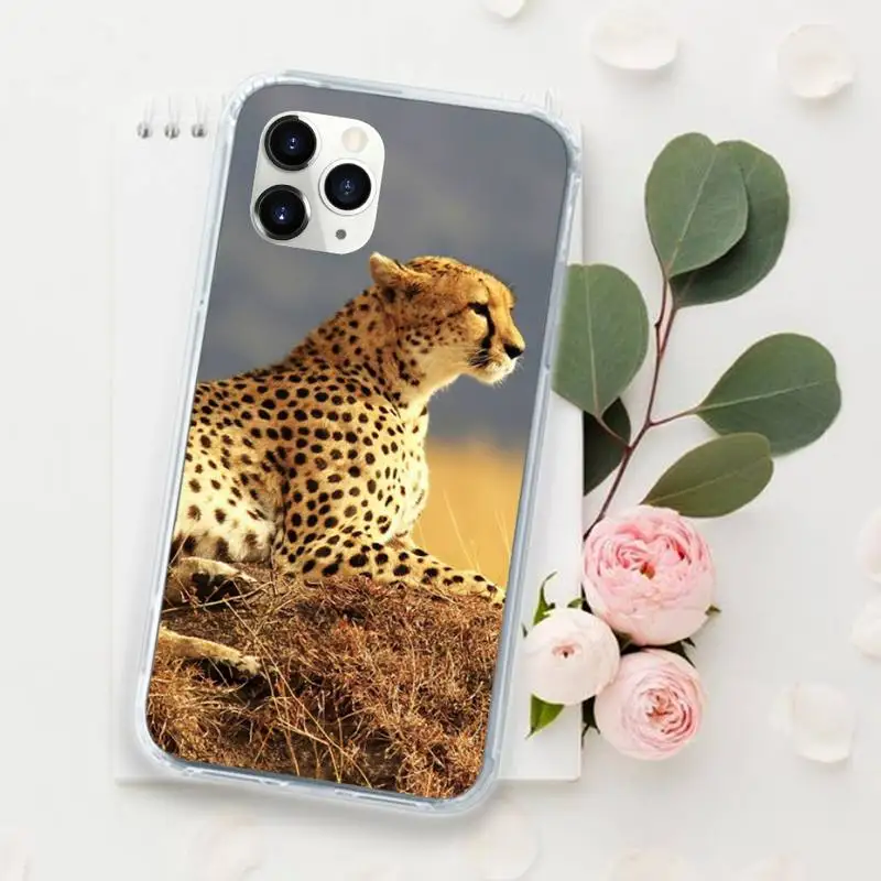 leopard cheetah Puth animal Phone Case for iPhone 11 12 mini pro XS MAX 8 7 6 6S Plus X 5S SE 2020 XR Luxury brand shell funda
leopard cheetah Puth animal Phone Case for iPhone 11 12 mini pro XS MAX 8 7 6 6S Plus X 5S SE 2020 XR Luxury brand shell funda