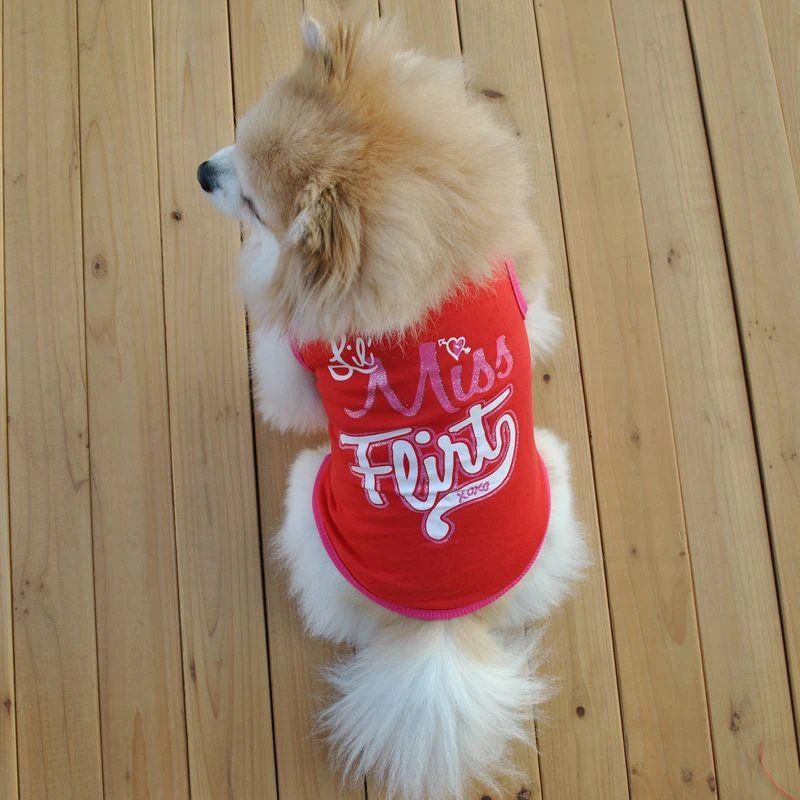 Hot Selling New Dog Shirt Small Dog Pet Clothes Comfortable O Neck Short Sleeve Print Letter Cute Dog Clothes T-shirt Summer
Hot Selling New Dog Shirt Small Dog Pet Clothes Comfortable O Neck Short Sleeve Print Letter Cute Dog Clothes T-shirt Summer
