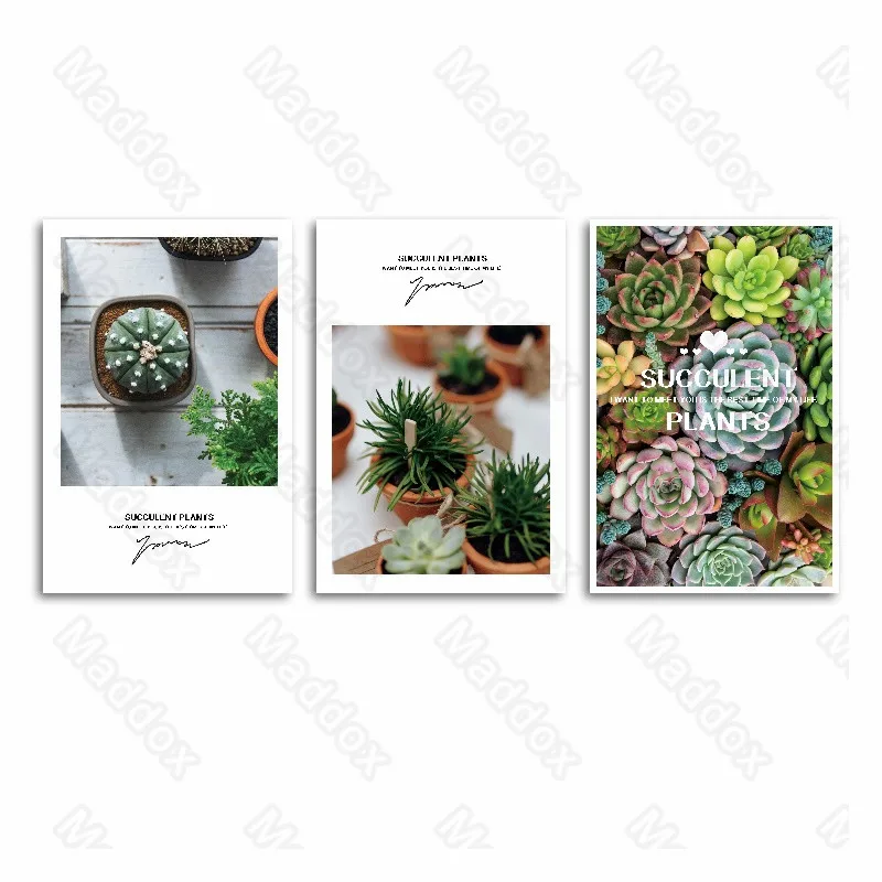 Canvas Painting Nature Plants Potted Succulent Potted Plants Decorative Painting Bedroom Corridor Decorative Arts and Crafts
Canvas Painting Nature Plants Potted Succulent Potted Plants Decorative Painting Bedroom Corridor Decorative Arts and Crafts