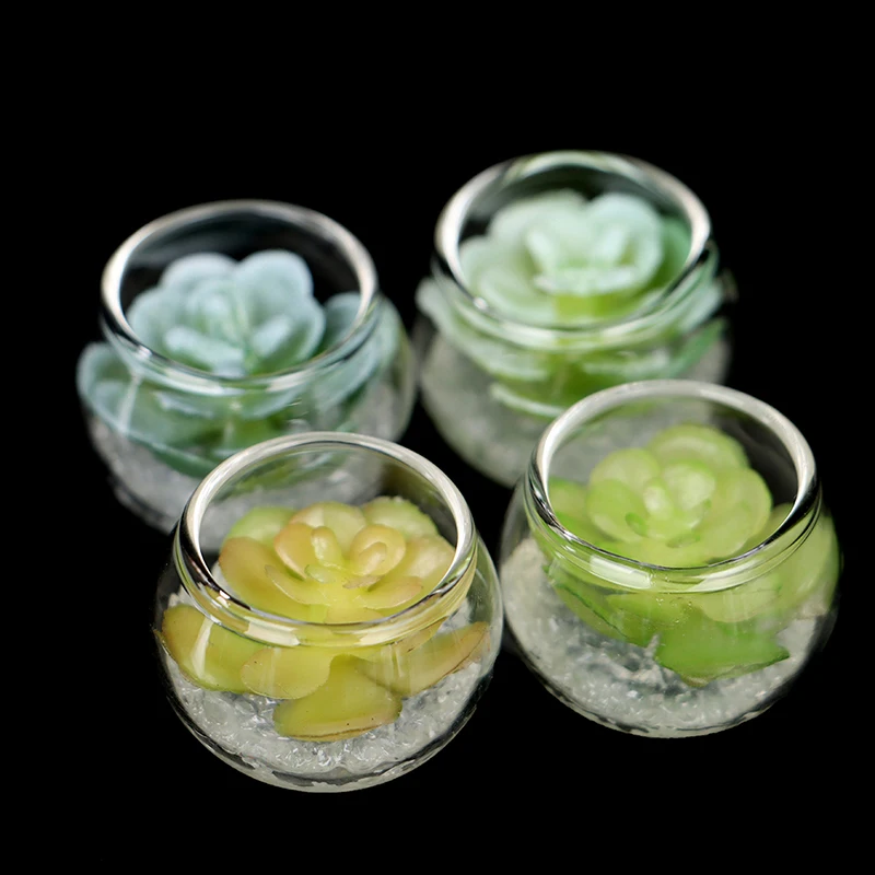 Миниатюрные растения-суккуленты Гидропонные в горшке 1:12 модель кукольного домика стеклянная банка
Миниатюрные растения-суккуленты Гидропонные в горшке 1:12 модель кукольного домика стеклянная банка