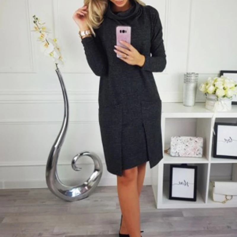 Women Dresses with Pocket Solid Color Long Sleeve Turtleneck Loose Casual Autumn Winter Dress Plus Size
Women Dresses with Pocket Solid Color Long Sleeve Turtleneck Loose Casual Autumn Winter Dress Plus Size