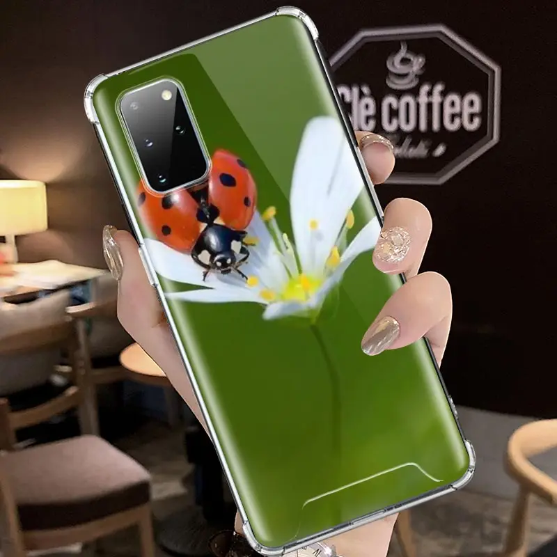 Airbag Case For Samsung Galaxy S20 FE S10 Plus S10e S9 S8 Note 20 Ultra 9 10 Lite Casos Phone Covers Leaf Ladybug Daisy
Airbag Case For Samsung Galaxy S20 FE S10 Plus S10e S9 S8 Note 20 Ultra 9 10 Lite Casos Phone Covers Leaf Ladybug Daisy