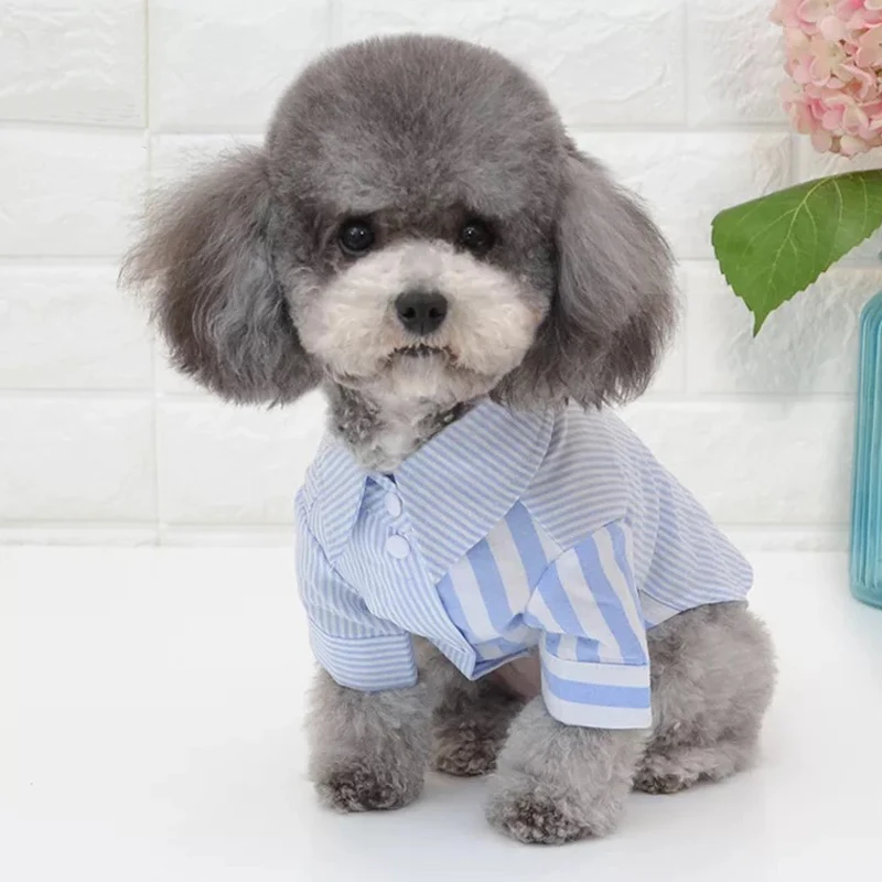 Creative Stripe Dog Shirt Fashion Colorful Cute Clothes Tuxedo Costume Dog Clothes Jacket Grils Disfraz Perro Pet Clothes YY50DS
Creative Stripe Dog Shirt Fashion Colorful Cute Clothes Tuxedo Costume Dog Clothes Jacket Grils Disfraz Perro Pet Clothes YY50DS